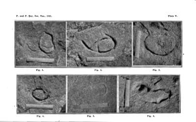 The Petroglyph Debate