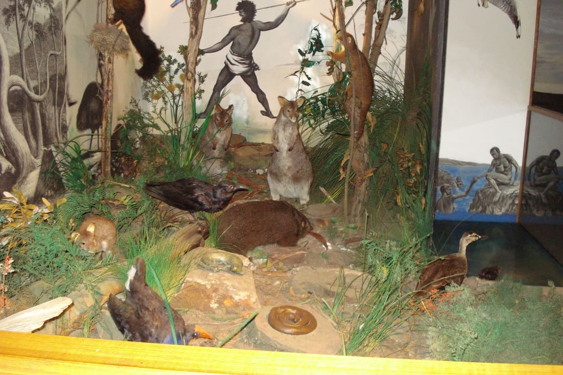 Tiagarra museum Devonport Tasmania 32
